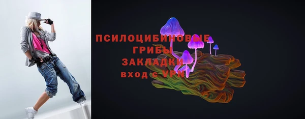 прущая мука Алексин